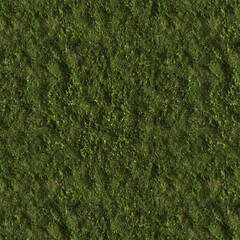 3d illustration of grass texture, grass background