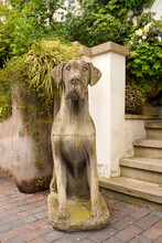 Stone Dog. Original Garden Decor. Animal Figures In Landscape Design.