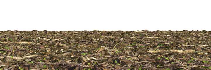 3d illustration of ground ground with grass and dry branches isolated on transparent, human eye view