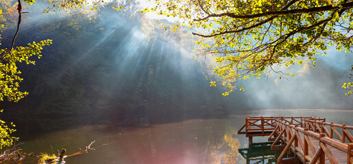 Poster - Autumn forest landscape reflection on the water with - Autumn landscape in (seven lakes) National park of  Yedigoller, Bolu 