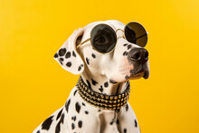Dalmatian Dog Portrait Cute Puppy Wear Retro Sunglass Fashion Collar Collage Generated By Ai