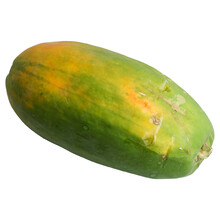Close-up Of Unripe Papaya Fruit In Yellow Green Colors Isolated On Transparent Background