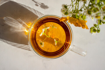 Wall Mural - Tea with fresh chamomile on a light background