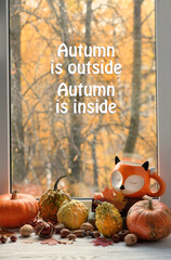 Wall Mural - Autumn is outside. Autumn is inside - inspiration quote. autumn background. Fox shape cup, pumpkins, nuts and autumn leaves on windowsill. symbol of fall season, harvest.