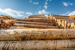 Holzindustrie Lagerplatz geschälte Baumstämme gestapelte Schichtholz frontal im Gegenlicht vor blauem Himmel – Timber Industry Logs 