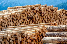 Holzindustrie Lagerplatz Geschälte Baumstämme Gestapelte Schichtholz Vor Bergkette – Timber Industry Logs 
