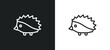 porcupine outline icon in white and black colors. porcupine flat vector icon from animals collection for web, mobile apps and ui.