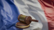 The wood hammer on France flag for laws concept 3d rendering