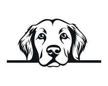Peeking Labrador Dog. Labrador Retriever Funny Face. Simple Black Silhouette Graphic. Cartoon Style. Vector Illustration On White Isolated Background.