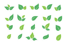 Set Of Green Leaf Icons. Leaves Icon. Leaves Of Trees And Plants. Collection Green Leaf