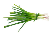 Green Onion Transparent Png