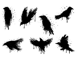 silhoutte of raven. black raven colection set vector illustration