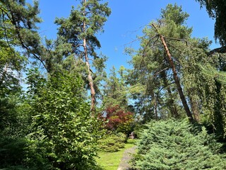 Nordheim Cemetery Park or Park of the Nordheim cemetery - Park des Nordheimer Friedhofs oder Friedhofspark Nordheim - Zürich (Zurich or Zuerich), Switzerland (Schweiz)