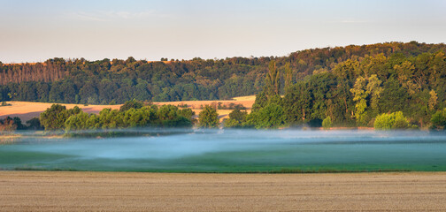 Wall Mural - panorama of rural landscape with morning fog in summer