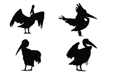  Silhouettes of Pelican bird vector. Pelican Silhouette Vector. Set of Pelican birds in different poses. Set of birds vector.