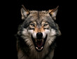 Portrait eines zähnefletschenden Wolfs / Wolf vor schwarzem Hintergrund erstellt mit generativer KI