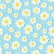 © serene - daisies flowers on baby blue background great for wrapping paper, fabric, textile, background, wall art, and prints