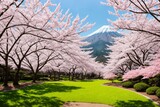 Fototapeta Most - Sakura blossoms in japanese style ornamental garden, beautiful landscape. Generative AI.