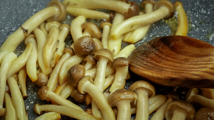 Wall Mural - groupe de champignons bruns bunas Himeji cuisant dans une poêle	