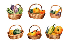 Watercolor Set Vector Illustration Of Autumn Pumpkin Harvest On A Basket Isolated On White Background