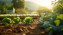 Organic Vegetable Farm. Producing Healthy And Nutritious Vegetables. Generative Ai
