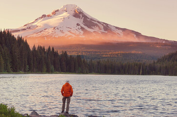 Wall Mural - Mt Hood