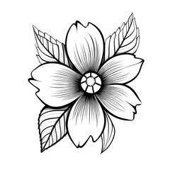 Wall Mural - Line art of flowers and plants Wild Chamomile black ink sketch. Wild botanical garden bloom.