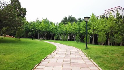 Wall Mural - 4k outdoor city garden greening environment street view