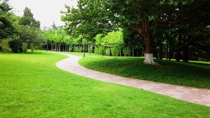 Wall Mural - 4k outdoor city garden greening environment street view