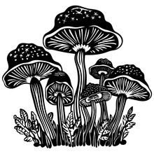 Mushrooms Black And White