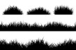 Black silhouette set grass seamless border and bunch. Vector
