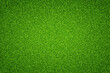 Green lawn grass background. Vector