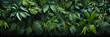 canvas print picture - Tropische Pflanzen im Regenwald. Generiert mit KI