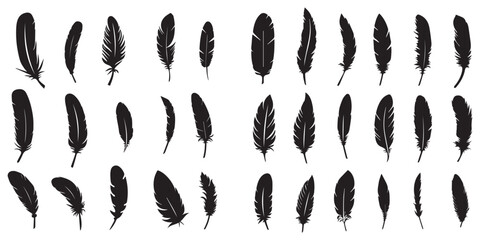 Set of silhouette feather vector collection
