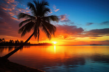 Tropical Sunset With Palm Tree Silhouette Panorama