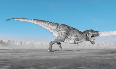 Wall Mural - tyrannosaurus is running and ready to bite on sunset desert side view