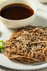 Poster - Homemade Buckwheat Japanese Dipping Soba Noodles