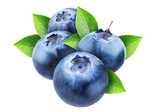 Fototapeta  - Fresh blueberries cut out
