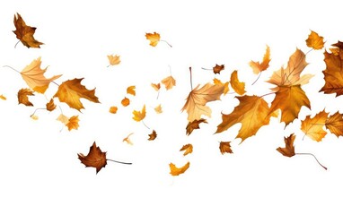 falling flying dry autumn leaves isolated on white background, generative ai