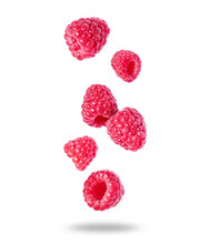 Ripe Juicy Raspberries Close Up In The Air Isolated On White Background