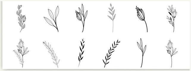 Wall Mural - botanical abstract line art, hand-drawn bouquets of herbs, flowers, leaves, and branches, vector ill