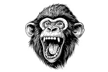 Monkey Head Or Face Hand Drawn Vector Illustration In Engraving Style Ink Sketch.