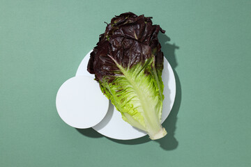 Concept of fresh and green food - lettuce