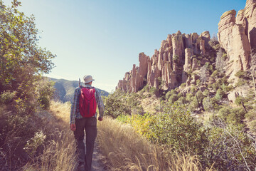 Wall Mural - Chiricahua