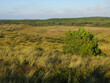 © Marc - Duinen op Vlieland, Dunes at Vlieland
