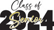 Class of 2024 Senior Script in Gold