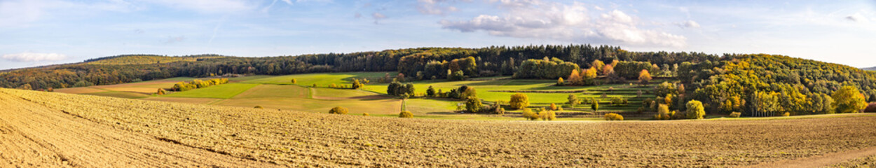 Wall Mural - Beautiful panorama from meadows and forest