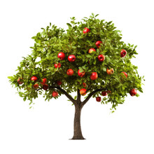 Apple Tree Isolated. Illustration AI Generative.