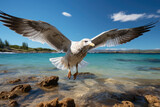 Fototapeta  - A close-up shot of a seagull in flight against a backdrop of a blue ocean, captured with a super wide lens. Generative Ai.