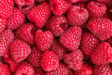 Wall Mural - Background made of many fresh red raspberries